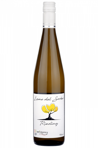 Riesling Lame Del Sorbo 2020 Vinica