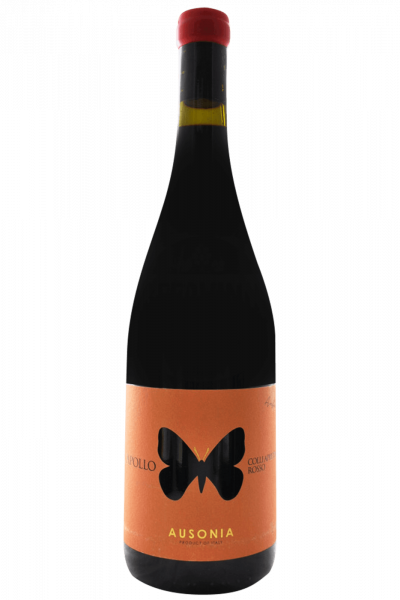 Colli Aprutini Rosso Apollo 2019 Ausonia