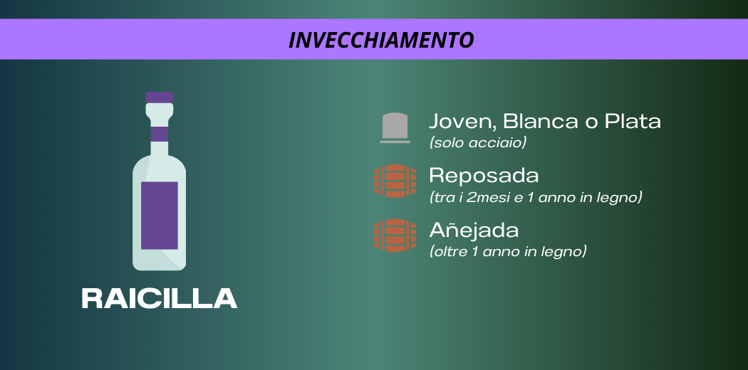 invecchiamento-raicilla