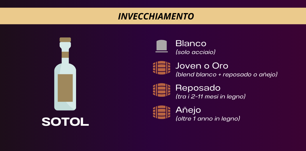 invecchiamento-sotol