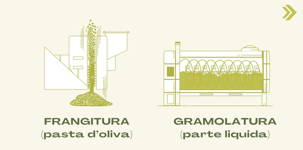 fase-frangitura-gramolatura-olio