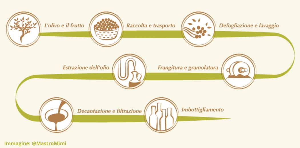 fasi-produzione-olio