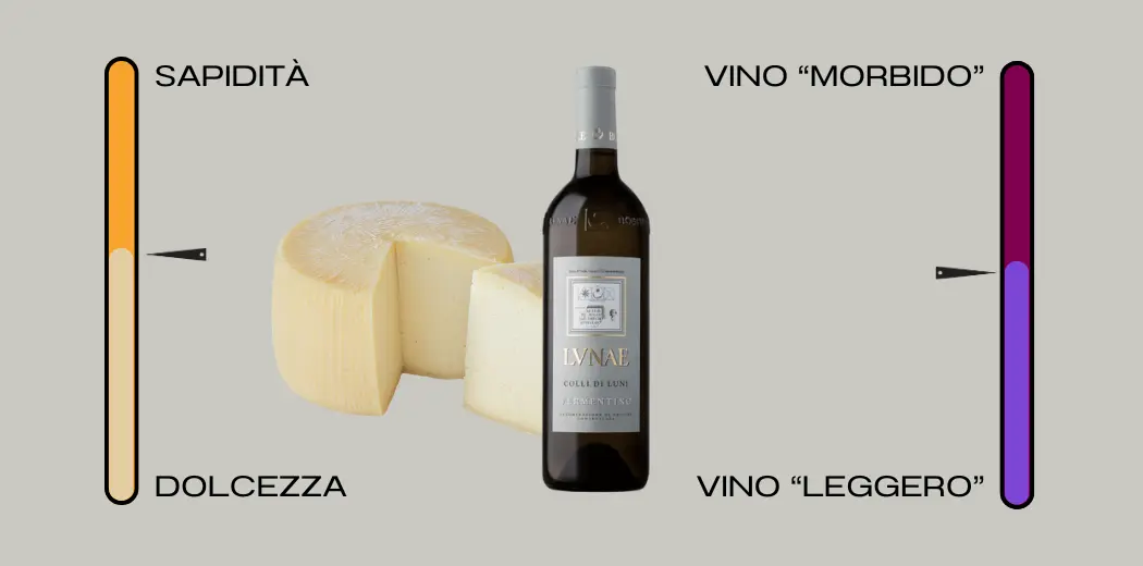 abbinamento-caciotta-vino