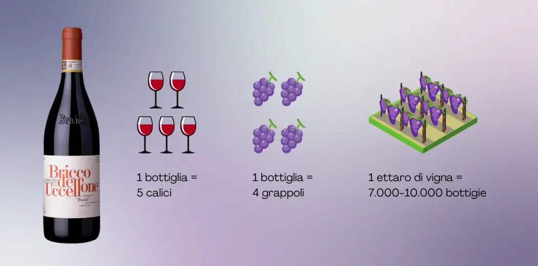 quanti-bicchieri-ci-sono-in-una-bottiglia-di-vino