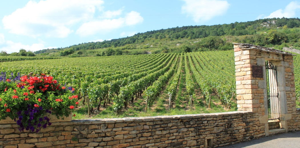 clos-borgogna